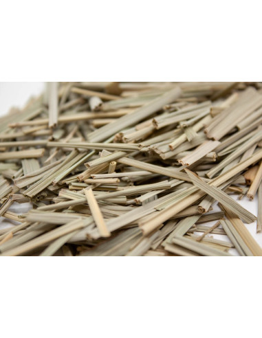 Citronnelle bio herboristerie - vrac - le Dauphin