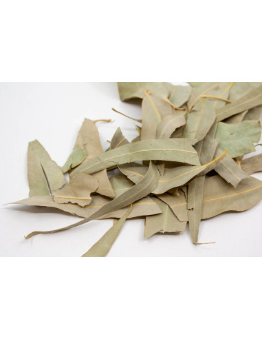 Eucalyptus bio herboristerie - vrac - le Dauphin