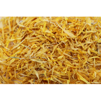 Calendula Souci 2