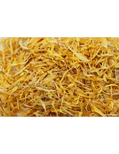 Calendula Souci