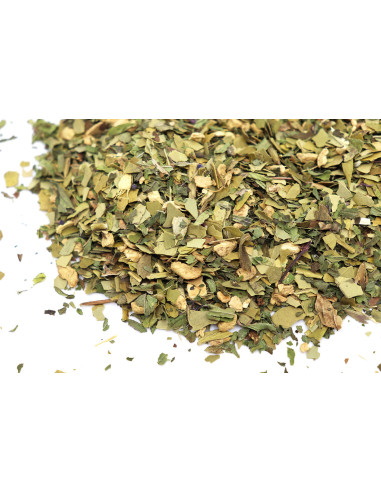 Maté Tonic Amazonia bio - Le Dauphin