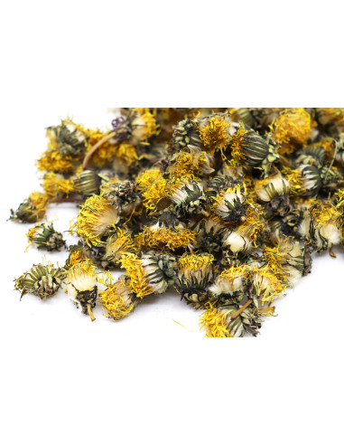 pissenlit fleur herboristerie tisane le dauphin