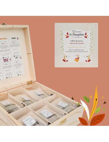Coffret découverte de 6 thés verts, noirs et rooibos ; 72 infusettes