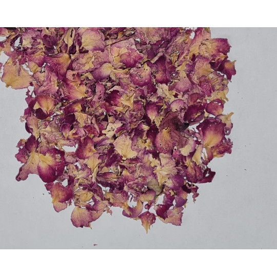 copy of Calendula (Souci officinal)