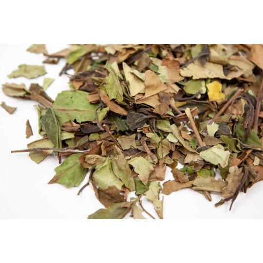 thé blanc bio Pai Mu Tan - vrac - le Dauphin