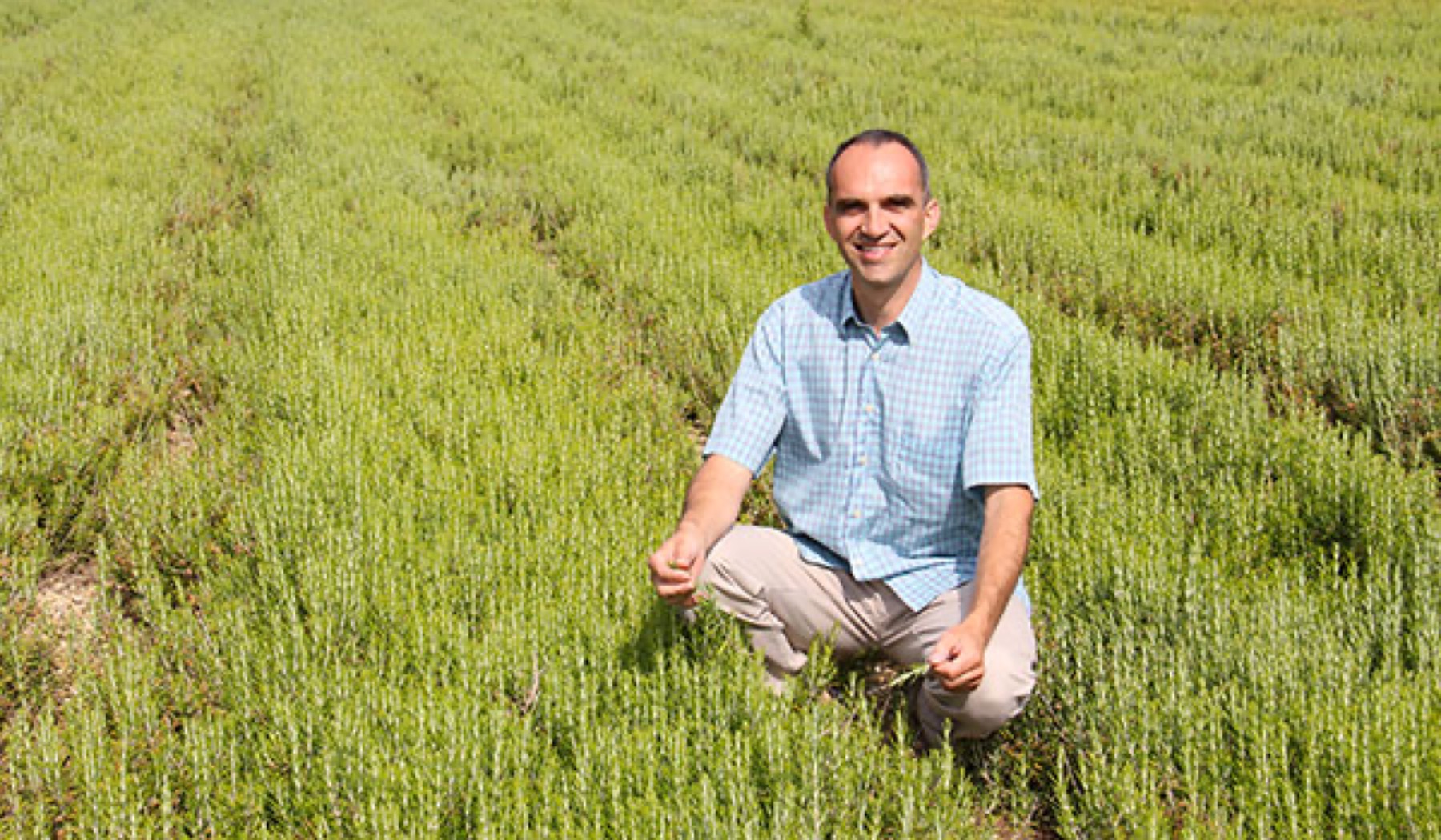Pierre Etienne Longeret dans un champ de plantes