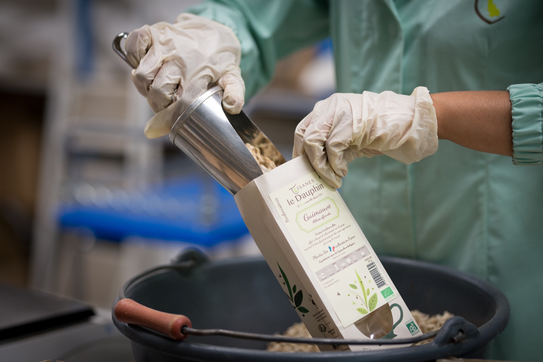 Conditionnement de plantes en vrac dans l'atelier Le Dauphin