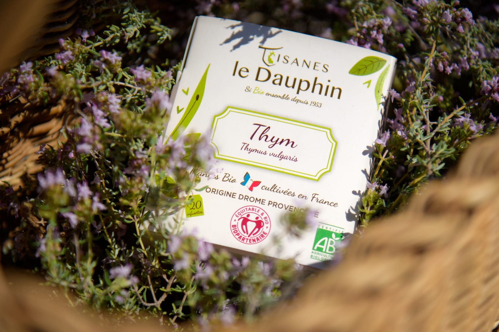 Boîte de tisane au thym Le Dauphin entourée de branches de thym en fleurs