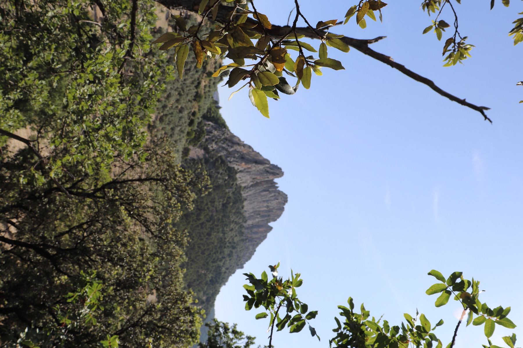 Paysage de montagne en Drôme Provençale