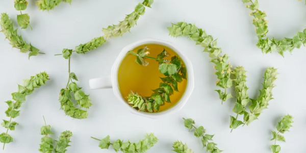 Tisane en vrac ou en sachet : que choisir ?